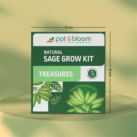Buy Treasures Sage Grow Kit Online at Best Price | Pot and Bloom