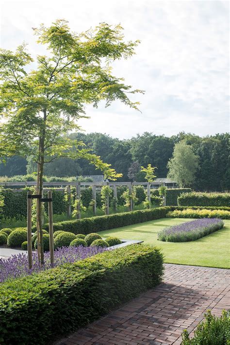 en tuin inspiratie. | Dream garden, Garden hedges, Urban garden