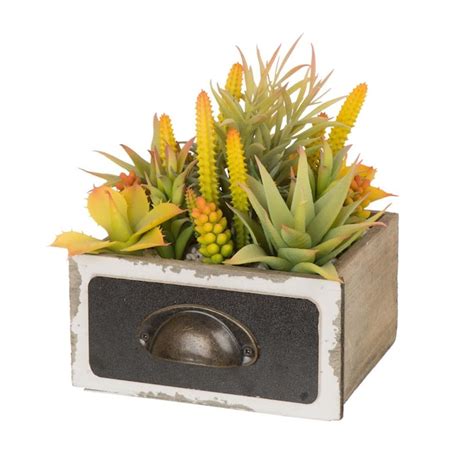 Glitzhome 6.25-in Multi Succulent Artificial Plant at Lowes.com