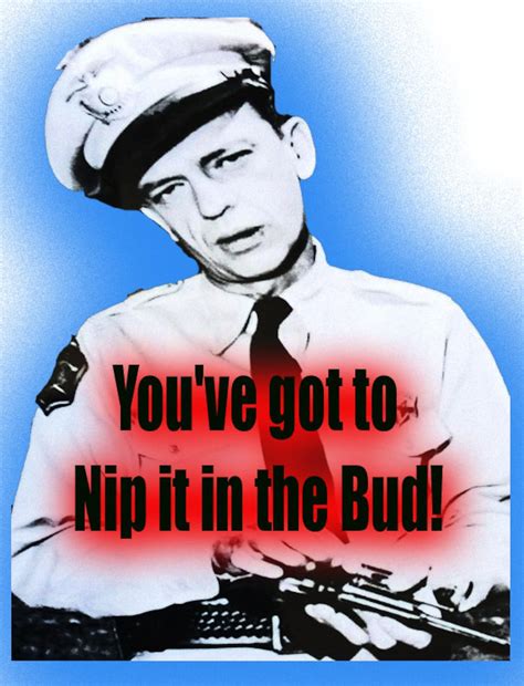Andy Griffith Barney Fife Nip It in the Bud 2 T-shirt - Etsy