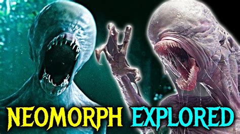 Image result for Neomorph Sound