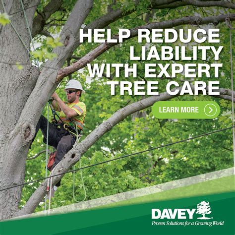 Davey Tree Service 的图像结果