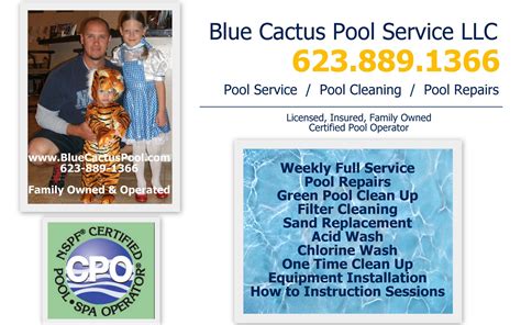 Image result for Pool Service Arizona