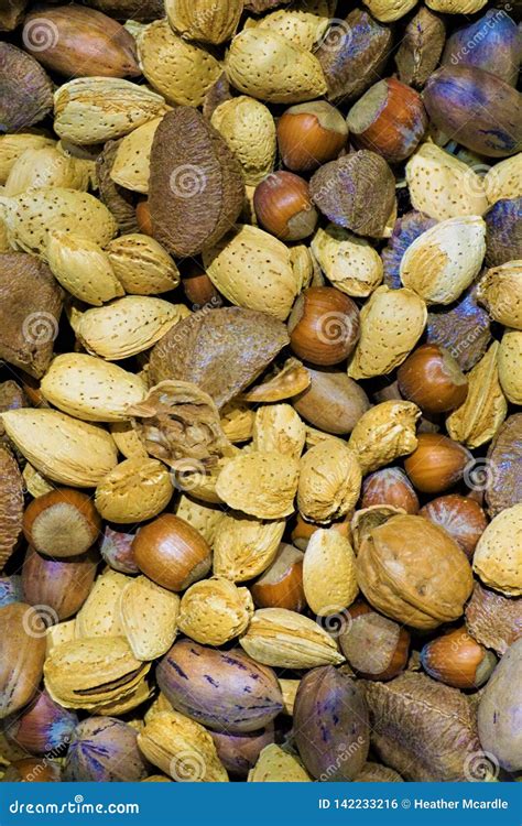 Aerial View of Nuts in Shells Stock Photo - Image of allergies ...