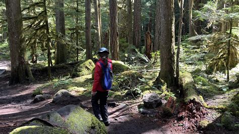 McKenzie River Trail: 3-Day Hiking Itinerary & Guide - Adventures with ...