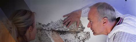 Home Inspection Services Texas | Property Inspector Melissa, Texas