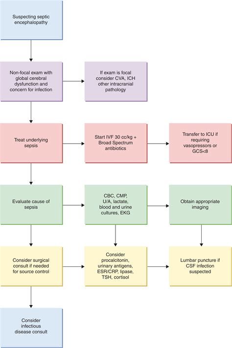 Altered Mental Status in a Patient With Sepsis - Clinical Tree