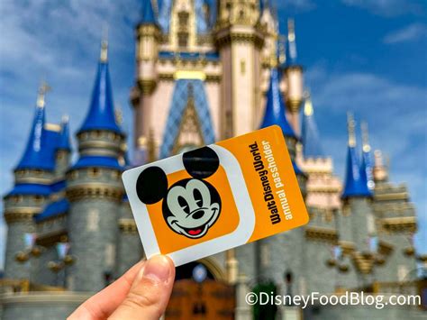 Full List of Exclusive Perks for Visa Cardmembers in Disney World | the ...