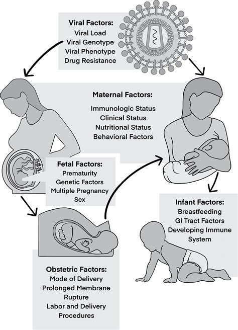 Hiv Aids Transmission Methods