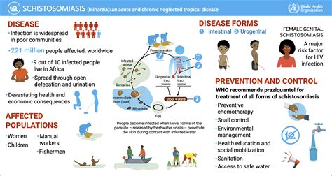 Causes Of Bilharzia