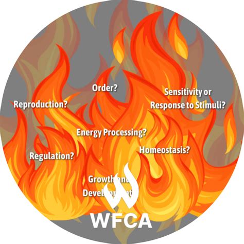 Wildfire Facts | WFCA