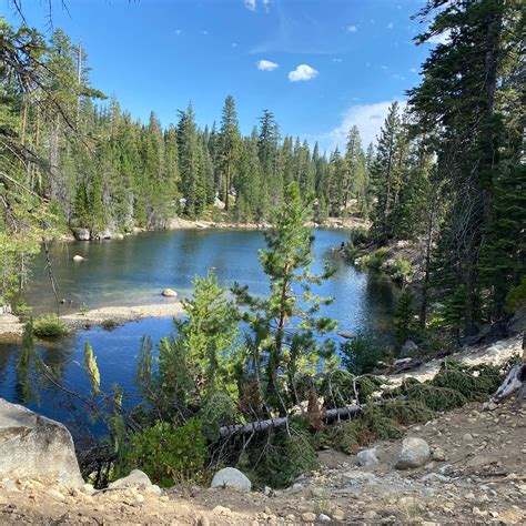 Gerle Creek Camping | Tahoma, California