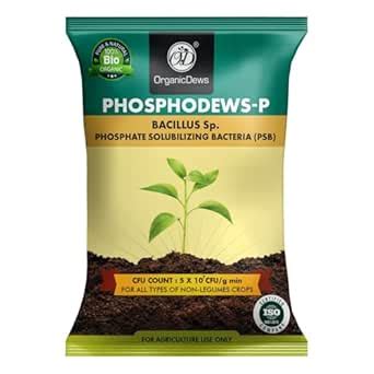 OrganicDews Phosphate Solubilizing Bacteria PSB (2x10^8 CFU/g) Bio ...