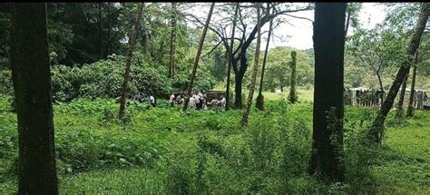 Dharmasthala mass grave case: SIT recovers bones at 6th burial site ...