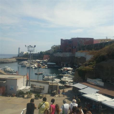 DIVING WORLD VENTOTENE (2025) All You Need to Know BEFORE You Go (with ...