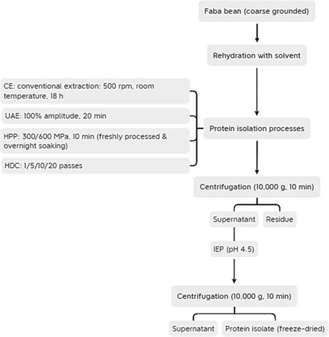 Image result for Pea Protein Extraction Process Flow Chart