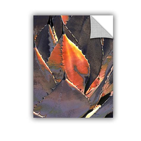 ArtWall "Linda Parker's Agave Sunset" Removable Wall Art, 32" x 48 ...