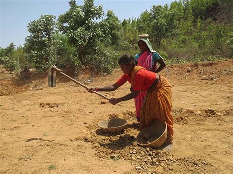 India can't ignore farming sector to boost manufacturing: International ...