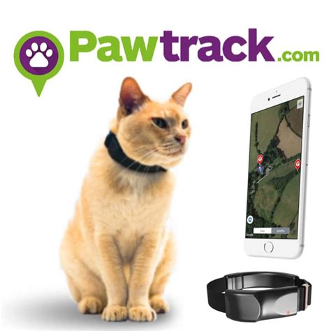 Image result for gps tracking collars for cats