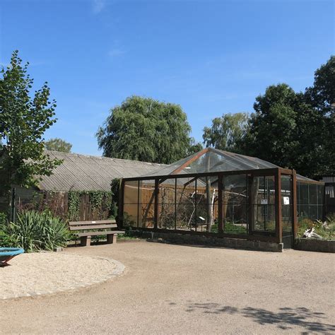 Tiergarten Delitzsch - 2021 What to Know Before You Go (with Photos ...