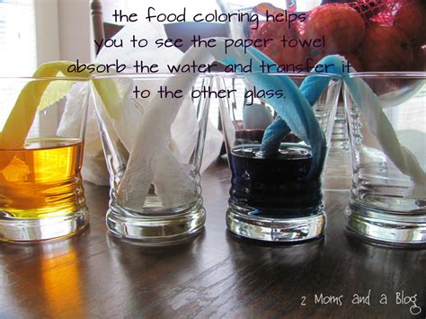 How to Create Water Using Toilet Paper 的图像结果