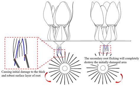 Design and Experiment of a Posture Adjustment and Differential Steering ...
