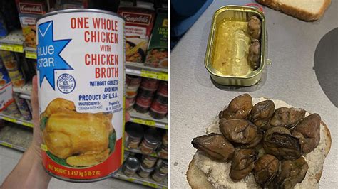 Understanding What Your Dog’s Tail Reveals About Its Mood & Emotions