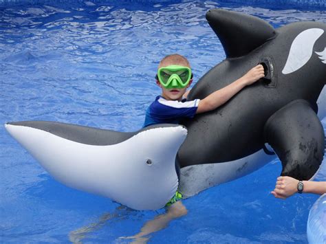 Pool Fun Home Blog 的图像结果