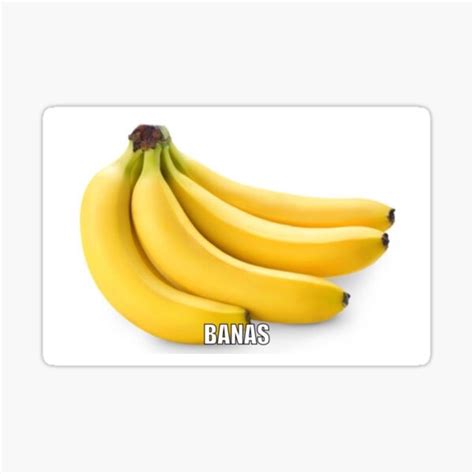 Image result for Banas JavaScript