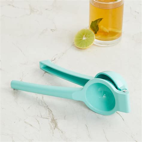 Buy Home Centre Rosemary-Springfield Blue Solid Stainless Steel Lemon ...