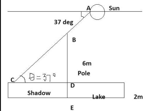 A pole 6m high stands amidst a lake having water to a depth of 2m. if ...