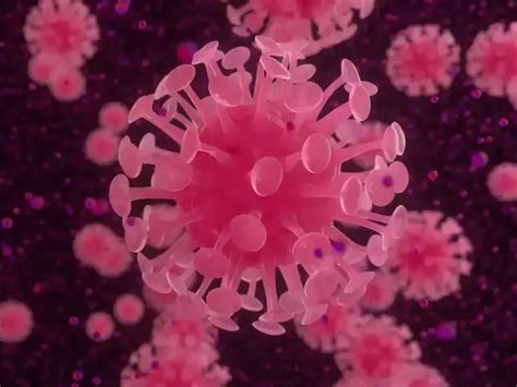 A desperate plan - Trump may bar US citizens from entering America ...