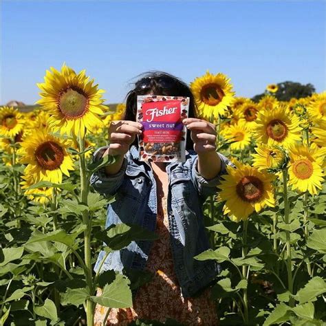 John B. Sanfilippo & Son JBSP27169 4 oz Sweet Nut Mix - 6 Count - Pack ...