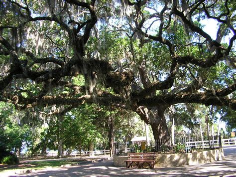 Oaks By The Bay park near the Panama City marina. | Bay county florida ...