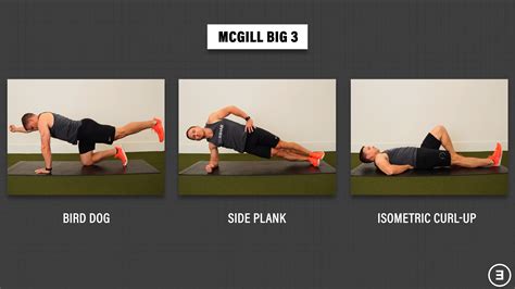 Image result for Stability Using Elandsgratch