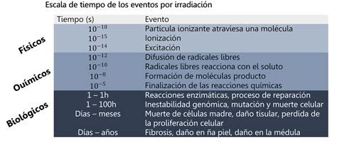 Image result for TV 50 Polegadas Fixada Parede