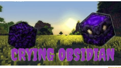 Image result for Crying Obsidian Block Minecraft