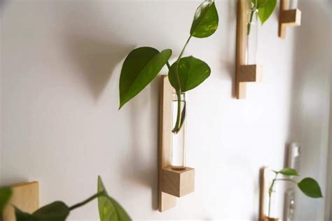 PALAASHE Test Tube Planter | Indonesian Pine Wood | Stick to Wall ...