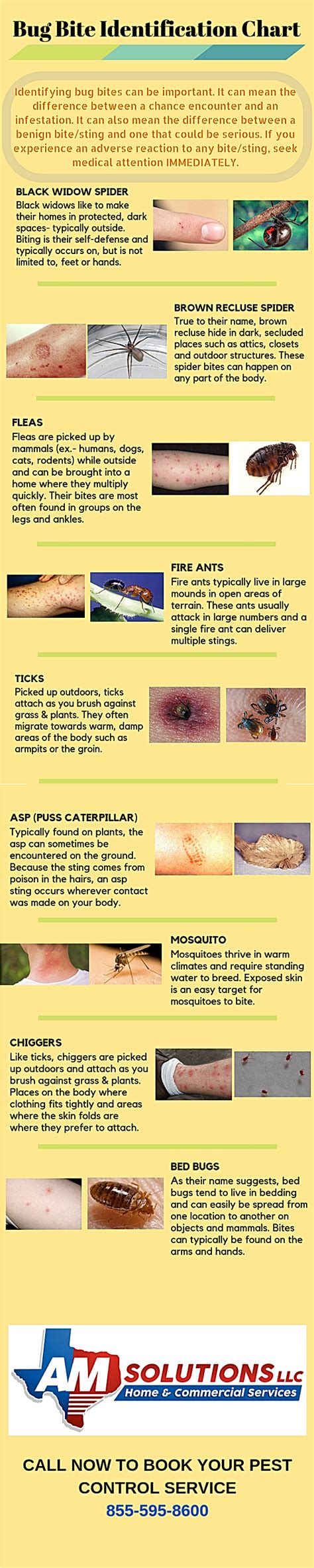 Image result for Bug Bite Identification Chart