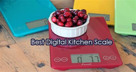 Image result for Best Digital Kitchen Scale