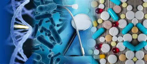 Custom Algorithm Development 的图像结果