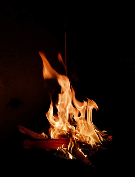 Image result for Example Picture That Has Visual Elements