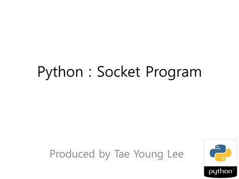 Python Socket Programming Tutorial 的图像结果