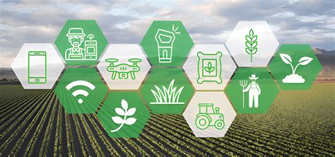 Image result for Precision Farming