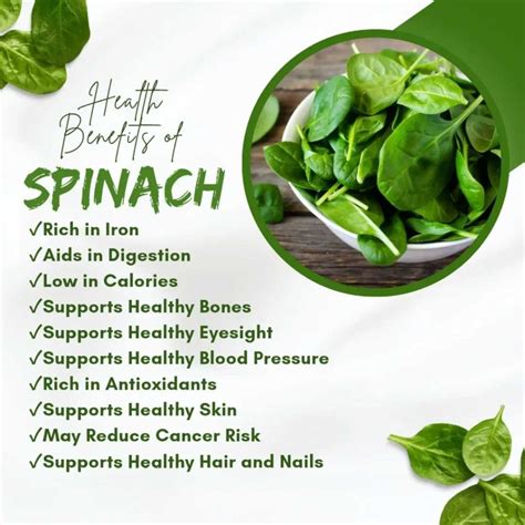 Health Benefits of Spinach - Health Link Pharmacy