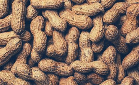 30 द‍िन तक रोजाना 100 ग्राम मूंगफली खाने से क्या होगा? 1 दिन में कितनी ...