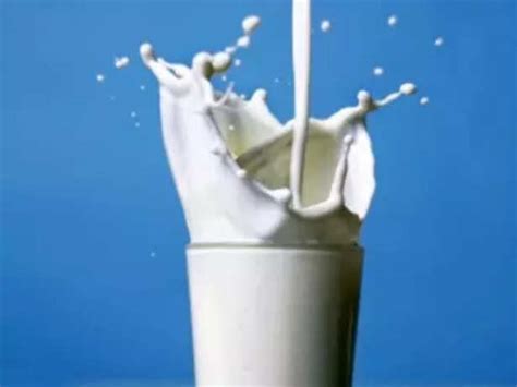 Cow Milk vs Buffalo Milk: The Dairy Showdown Every Indian Needs to Read!