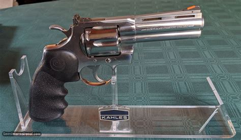 Image result for Bright Colt Python 2 1 2