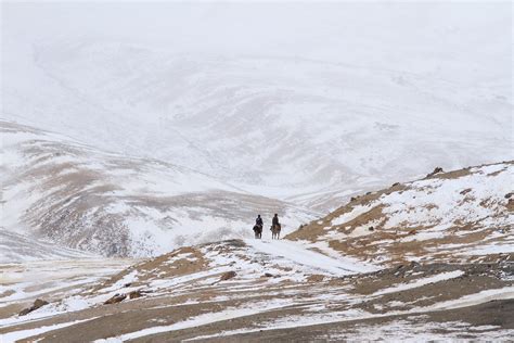 Extreme Lives In Ladakh - slide18 | Nature inFocus