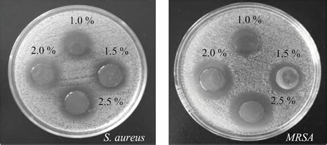 Disc Diffusion Method Kit 的图像结果